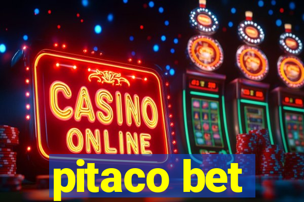 pitaco bet